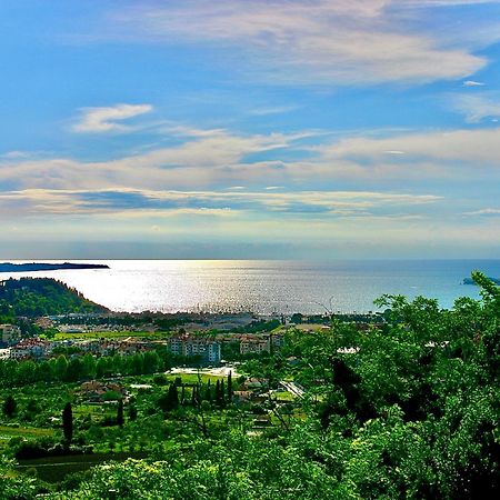 Sea View Olive Retreat Apartment Portorož Exterior foto