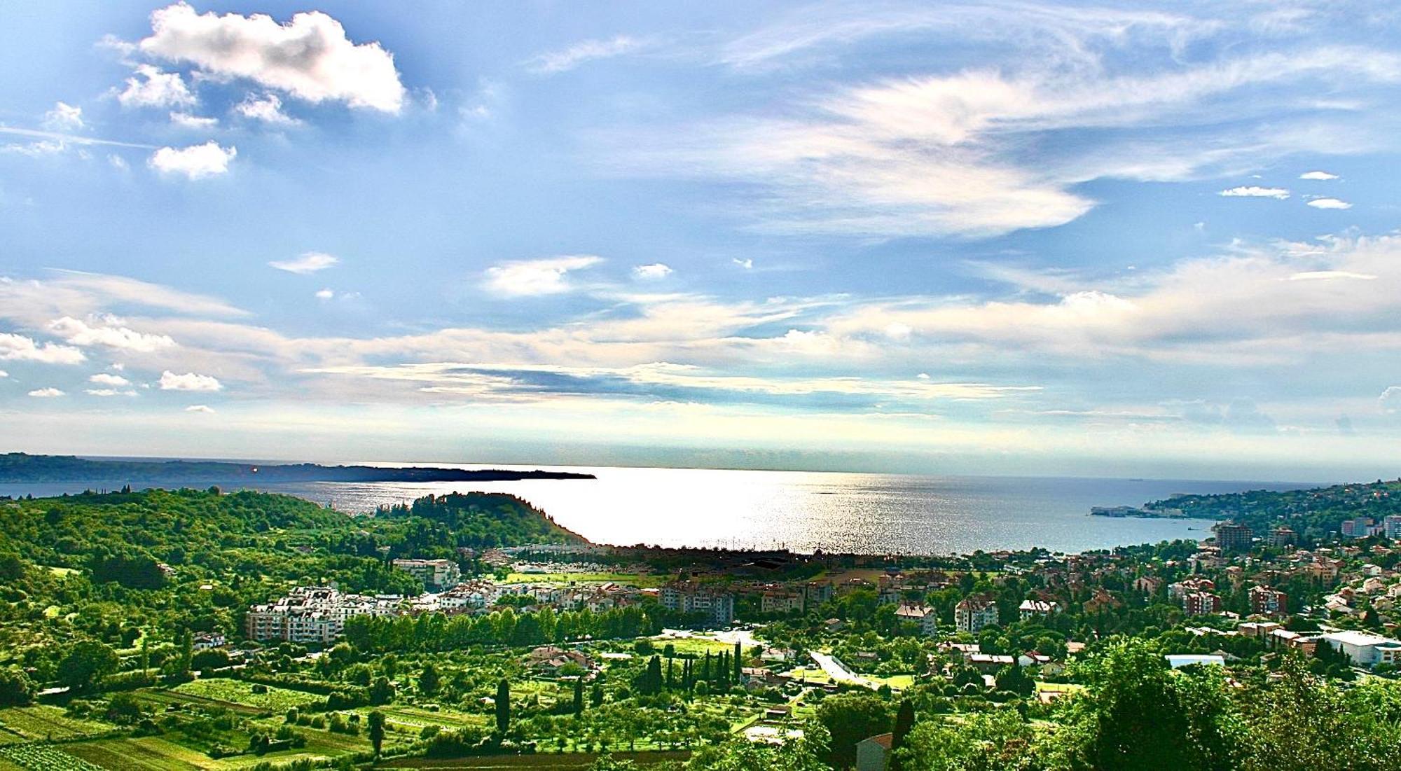 Sea View Olive Retreat Apartment Portorož Exterior foto