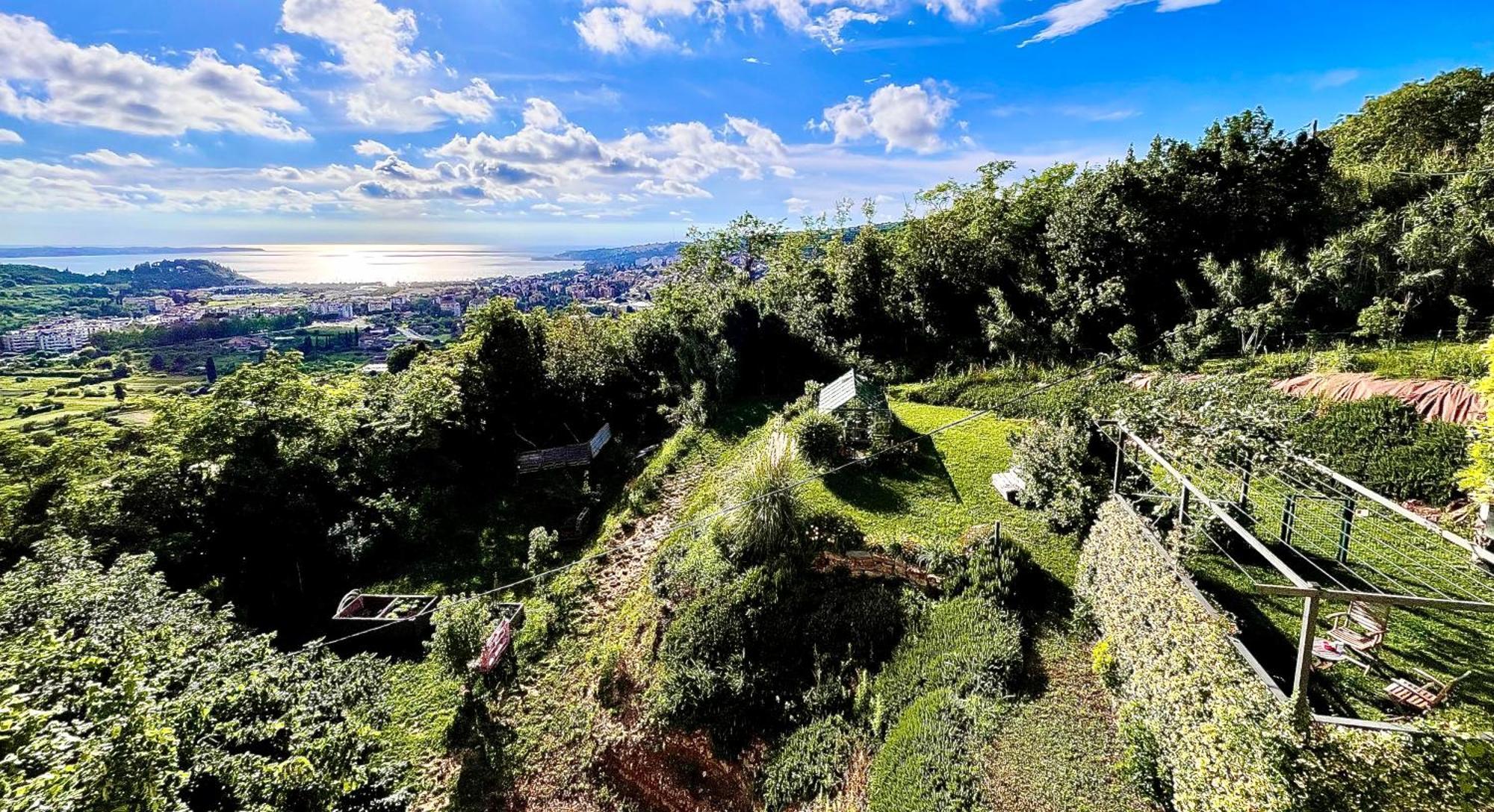 Sea View Olive Retreat Apartment Portorož Exterior foto
